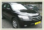 KIA Car Rentals
